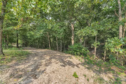 Exterior - 77 Lookin Up Dr, Marshfield, MO 65706 photo 13 of 20