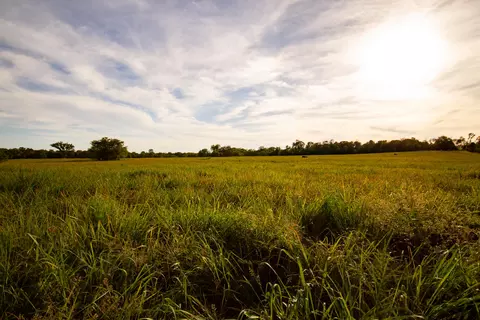 000 E 1570 Rd, Jerico Springs, MO 64756