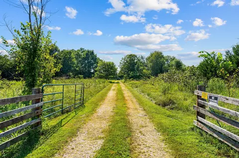 Other - 415 Squaw Run Dr, Bruner, MO 65620 photo 7 of 7