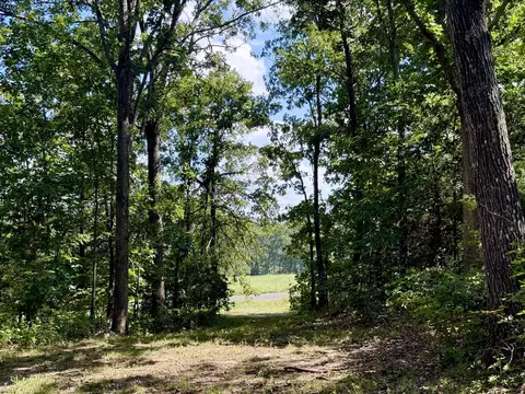 Other - 14999 State Highway H, Cabool, MO 65689 photo 18 of 19
