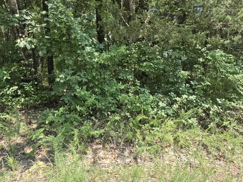 lot S 5 6 East Gate Rd, Merriam Woods, MO 65740