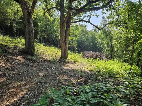 000 Mclean Rd, Ozark, MO 65721 photo 12