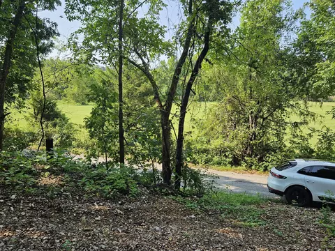 000 Mclean Rd, Ozark, MO 65721 photo 14