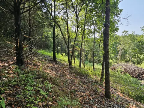 000 Mclean Rd, Ozark, MO 65721 photo 7