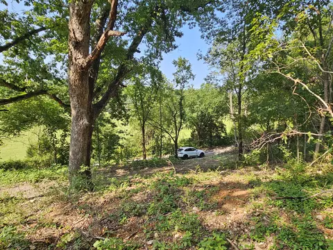 000 Mclean Rd, Ozark, MO 65721 photo 6