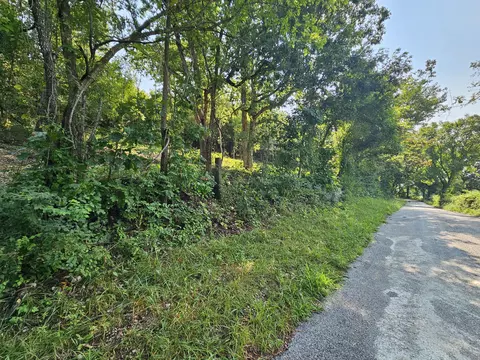 000 Mclean Rd, Ozark, MO 65721 photo 2