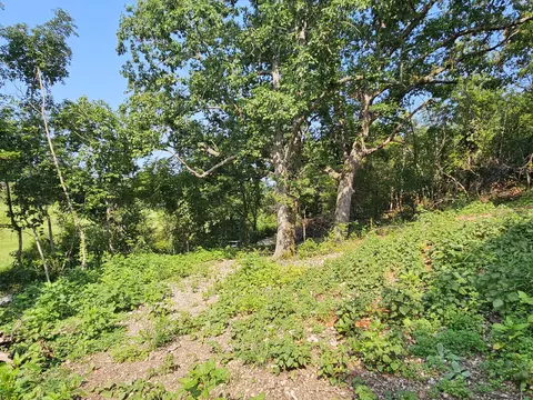 000 Mclean Rd, Ozark, MO 65721 photo 4