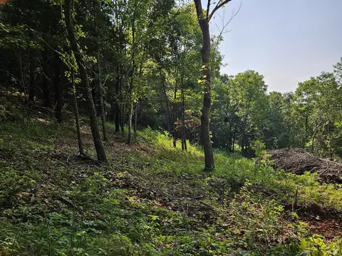 000 Mclean Rd, Ozark, MO 65721 photo 9