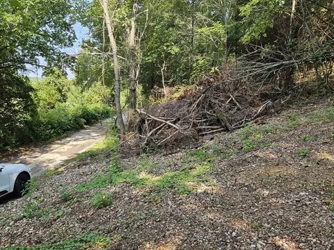 000 Mclean Rd, Ozark, MO 65721 photo 10