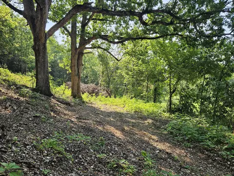 000 Mclean Rd, Ozark, MO 65721 photo 13