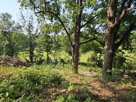 000 Mclean Rd, Ozark, MO 65721 photo 8