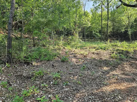 000 Mclean Rd, Ozark, MO 65721 photo 11