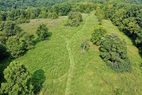 000 Red Bridge Rd, Ozark, MO 65721 photo 3