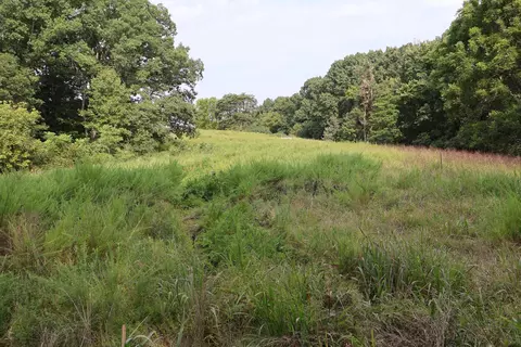 000 Red Bridge Rd, Ozark, MO 65721 photo 20