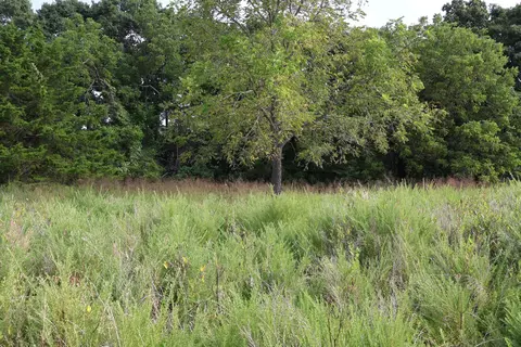 000 Red Bridge Rd, Ozark, MO 65721 photo 22