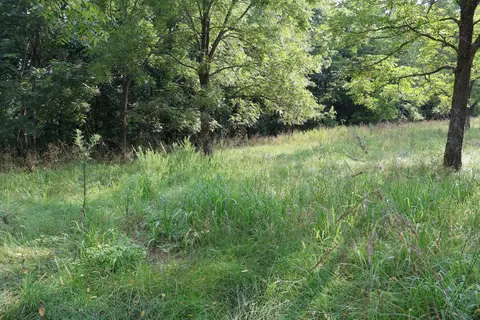 000 Red Bridge Rd, Ozark, MO 65721 photo 31