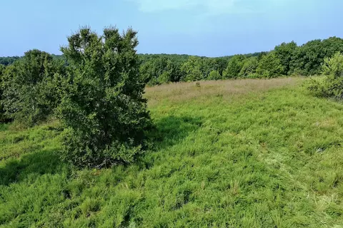 000 Red Bridge Rd, Ozark, MO 65721 photo 12