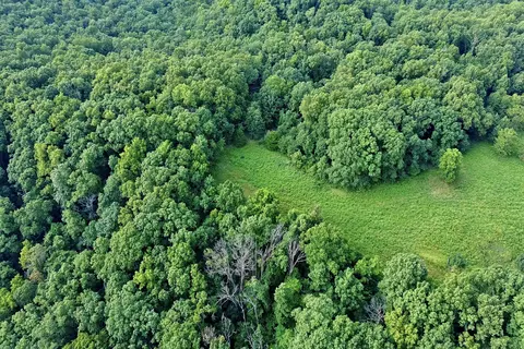000 Red Bridge Rd, Ozark, MO 65721 photo 6