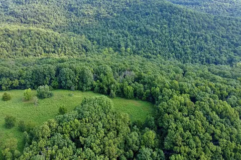 000 Red Bridge Rd, Ozark, MO 65721 photo 8
