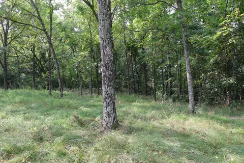 000 Red Bridge Rd, Ozark, MO 65721 photo 29