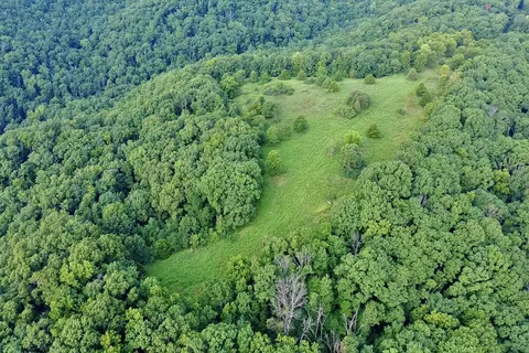 000 Red Bridge Rd, Ozark, MO 65721 photo 7