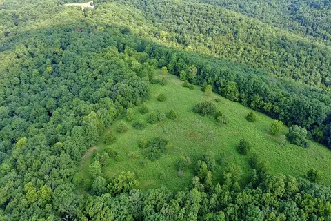 000 Red Bridge Rd, Ozark, MO 65721 photo 10