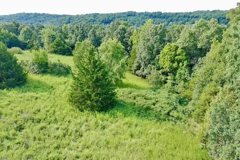 000 Red Bridge Rd, Ozark, MO 65721 photo 14