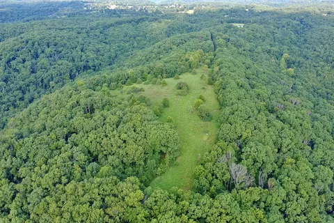 000 Red Bridge Rd, Ozark, MO 65721 photo 5