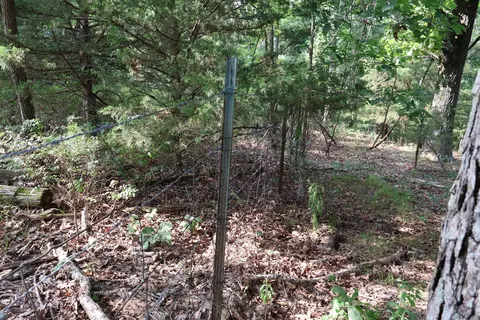 000 Red Bridge Rd, Ozark, MO 65721 photo 30
