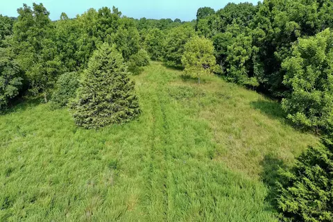 000 Red Bridge Rd, Ozark, MO 65721 photo 11