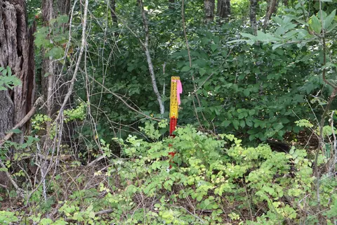 000 Red Bridge Rd, Ozark, MO 65721 photo 18