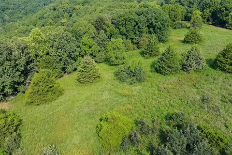 000 Red Bridge Rd, Ozark, MO 65721 photo 4
