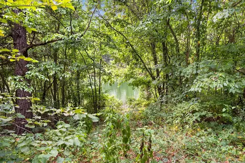 View/Area - 352 Clearspring Rd, Shell Knob, MO 65747 photo 1 of 7