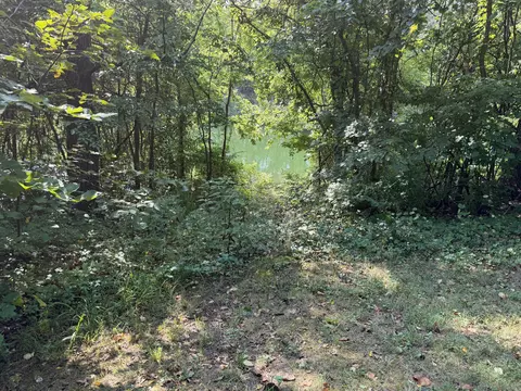 Other - 352 Clearspring Rd, Shell Knob, MO 65747 photo 8 of 14