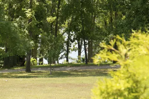 View/Area - 23714 Welch Point Cir, Shell Knob, MO 65747 photo 1 of 7