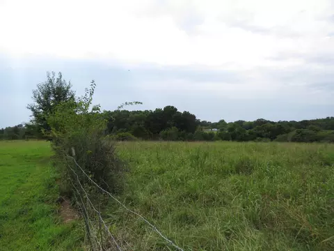Other - 4105 St Highway Nn, Ava, MO 65608 photo 6 of 24