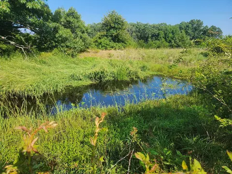 View/Area - 4105 St Highway Nn, Ava, MO 65608 photo 1 of 1