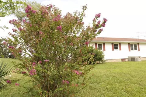 Other - 603 Kottmeier St, Ava, MO 65608 photo 12 of 12