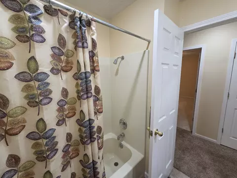 Bath - 4719 S Clifton Ct, Springfield, MO 65810 photo 7 of 10