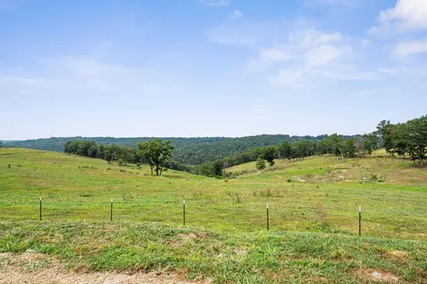 Other - 290 Mckee Dr, Cedarcreek, MO 65627 photo 16 of 22