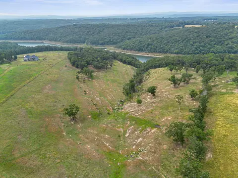 View/Area - 290 Mckee Dr, Cedarcreek, MO 65627 photo 11 of 12