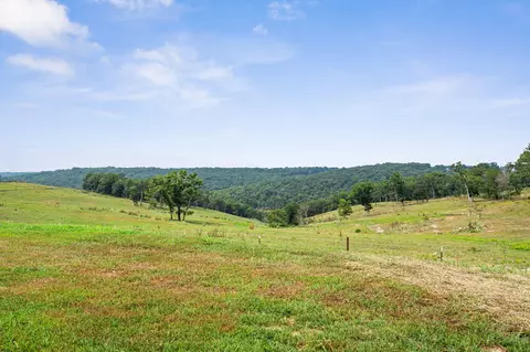 Other - 290 Mckee Dr, Cedarcreek, MO 65627 photo 15 of 22