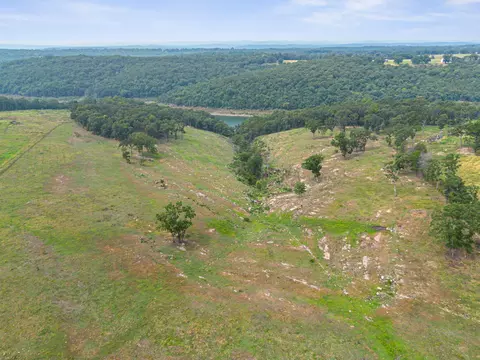 View/Area - 290 Mckee Dr, Cedarcreek, MO 65627 photo 10 of 12