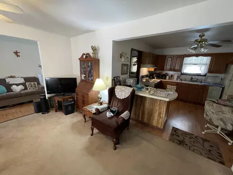 Living - 184 Dusty Ln, Branson, MO 65616 photo 1 of 1