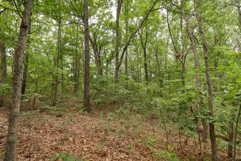 000 Sappington Ln, Falcon, MO 65470 photo 9