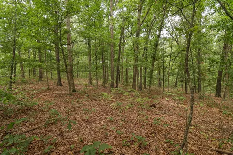 000 Sappington Ln, Falcon, MO 65470 photo 8