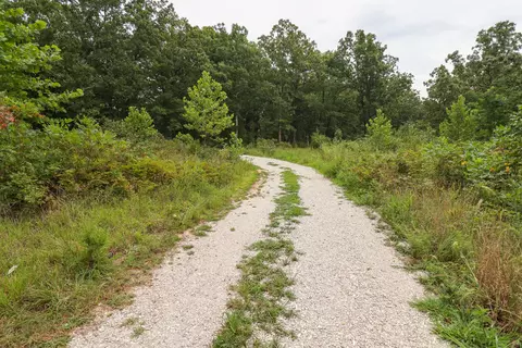 000 Sappington Ln, Falcon, MO 65470 photo 7