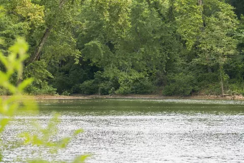 View/Area - 26858 Buckingham Pl, Shell Knob, MO 65747 photo 11 of 17