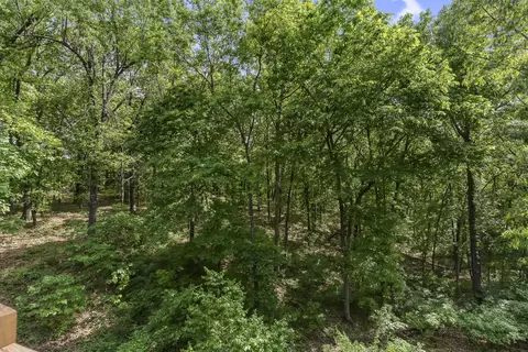 Other - 45 Stone Ridge Ct, Strafford, MO 65757 photo 19 of 19