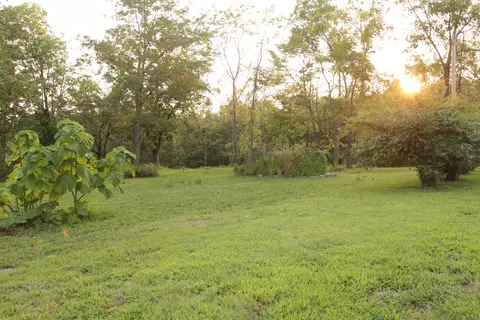 Exterior - 3627 County Road 542, Ava, MO 65608 photo 26 of 26